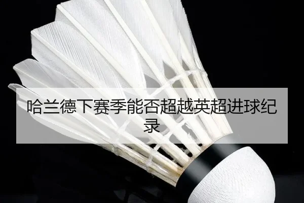 哈兰德下赛季能否超越英超进球纪录