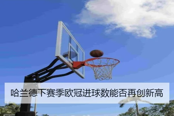 img_1781379983854_26_2_828.jpg