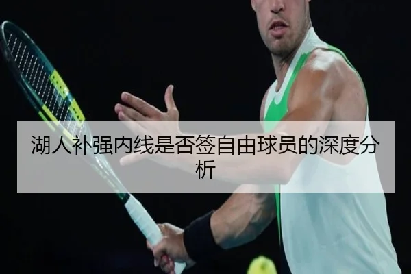 湖人补强内线是否签自由球员的深度分析